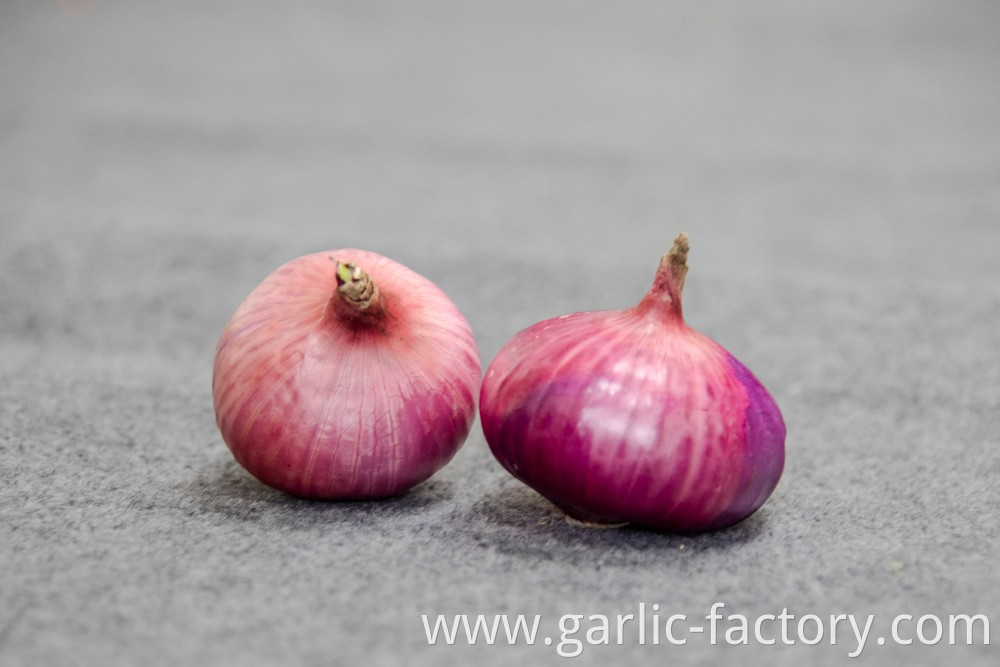 Vacuum packaging peeled garlic